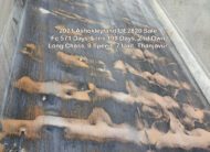 2021 Ashok Leyland UE2820 Long சேஸ் | 10 வீல் | 9-Speed Bogie Cut Tipper for Sale – Excellent Condition